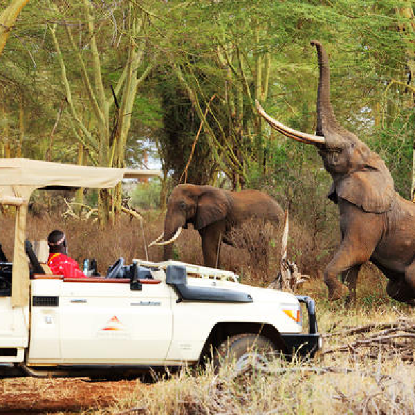 4 DAYS EXPLORATION PRIVATE SAFARIS